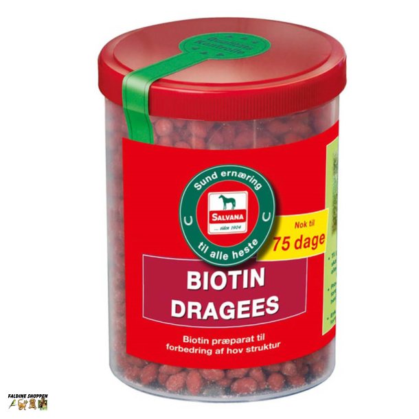 Salvana Biotin Dragee, 750 g