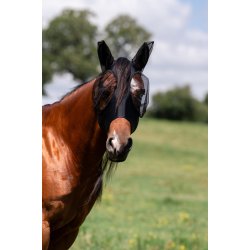 Professionals Choice Fluemaske, Sort