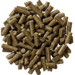 EQUILANNOO Gastro Cube, 20 kg