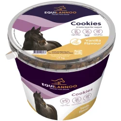 Equilannoo Godbidder, Vanille