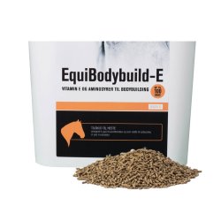 EquiBodybuild-E