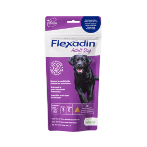 Flexadin Adult, 70 stk