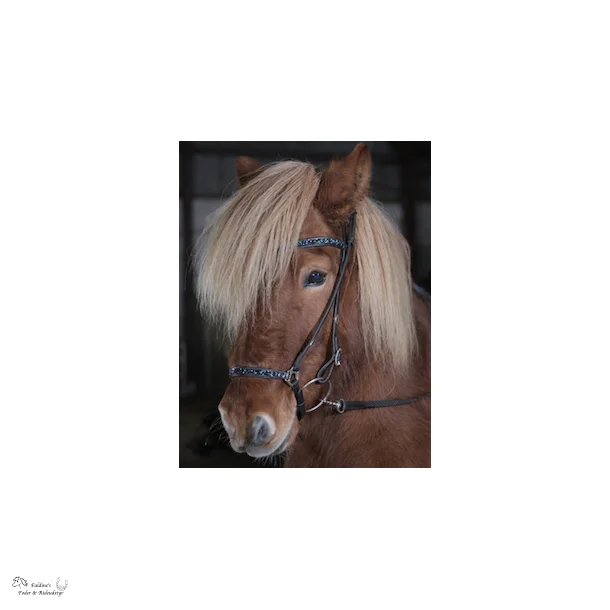 Hestagallery Rockstone N�serem