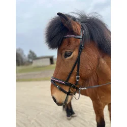 Hestagallery Glitra Nakkerem, Fuchsia