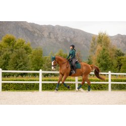 LeMieux Suede Underlag, Spruce