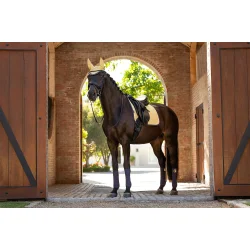 LeMieux Suede Underlag, DR, Mimosa