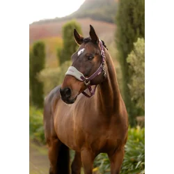 LeMieux Vogue Grimest, Damson