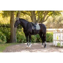 LeMieux Suede Underlag, DR, Rosemary