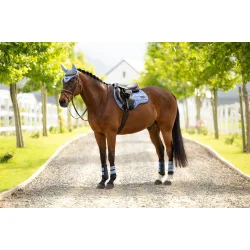 LeMieux Loire Underlag, SP, Powder Blue