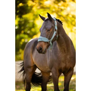 LeMieux Breakaway Vogue Grimes�t, Aloe