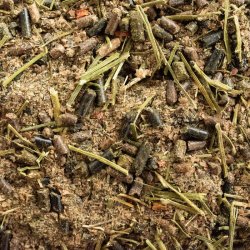 Brogaarden Mash Light