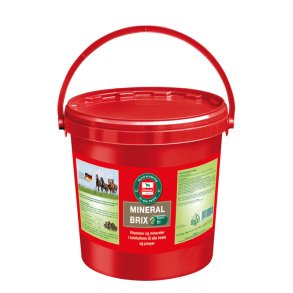 Salvana Mineral Brix, 8 kg