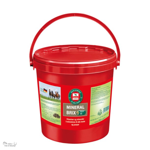 Salvana Mineral Brix, 8 kg