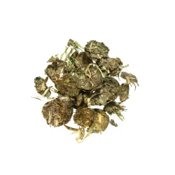 AGROBS Myo Protein Flakes