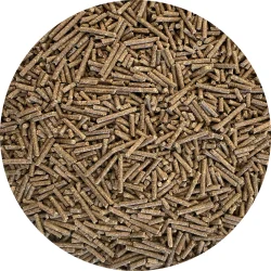 Nordic Horse Sport Lite