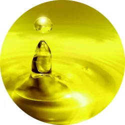 Nordic Horse DHA Algae Oil, Algeolie, 1 liter