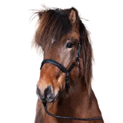 Hestagallery Rockstone Ldergrime