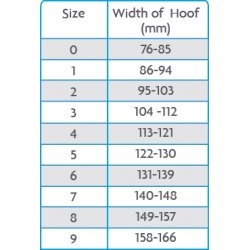 Woof Wear Medical Hoof Boot