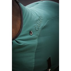 CATAGO FIR-Tech Dkken, Ponderosa Pine