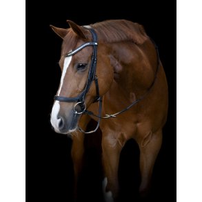 HG Tine Anatomisk Trense, Sort