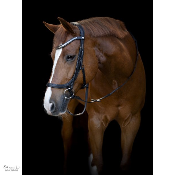 HG Tine Anatomisk Trense, Sort