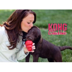 KONG Classic