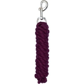 HG Tr�ktov, Italian Plum 