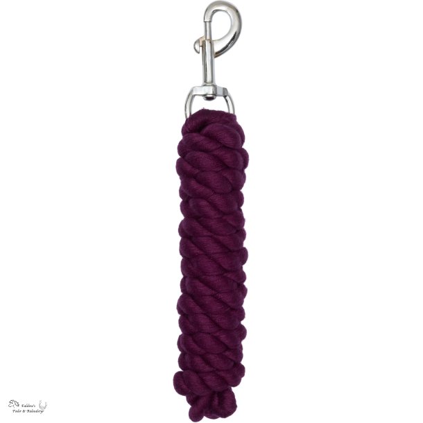 HG Tr�ktov, Italian Plum 