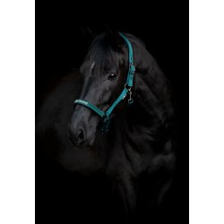 HG Sandra Grime, Grn