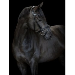 CATAGO Torina Trense