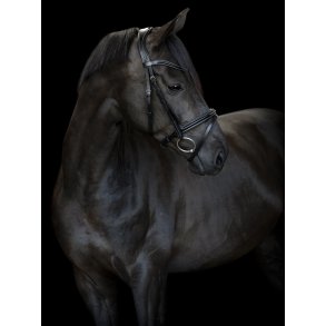 CATAGO Torina Trense