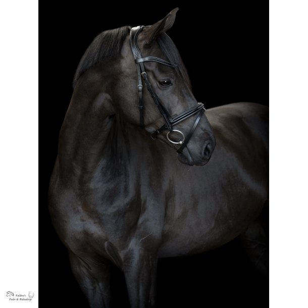 CATAGO Torina Trense