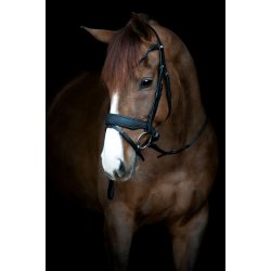 HG Cryll 24.2 Trense med glitter nsebnd