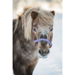 HG Nylon Grime, Lilla