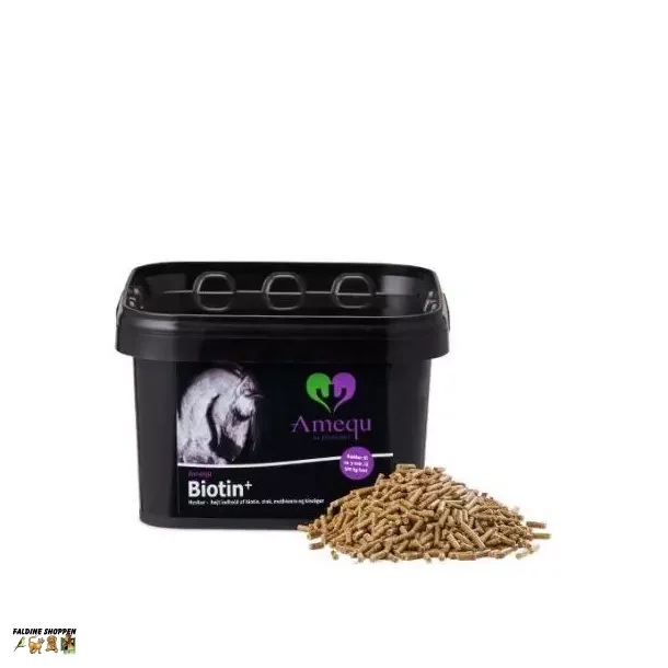 Amequ Biotin+ 1,5 kg