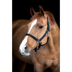 HG Saby Grooming Grime