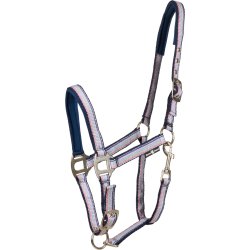 HG Mascha Grime, Aster Purple