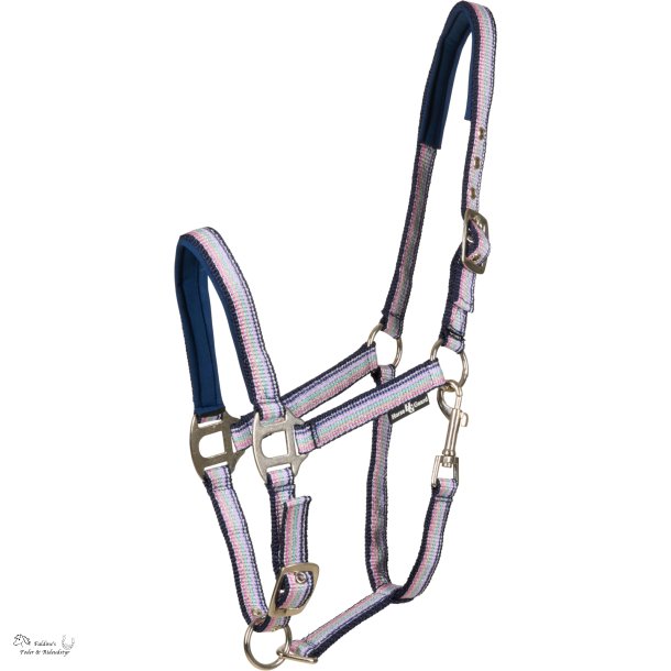 HG Mascha Grime, Aster Purple