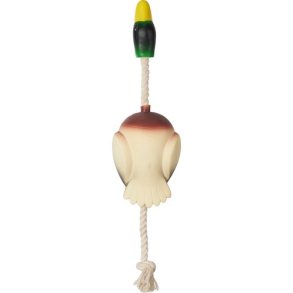 Companion Flying Duck