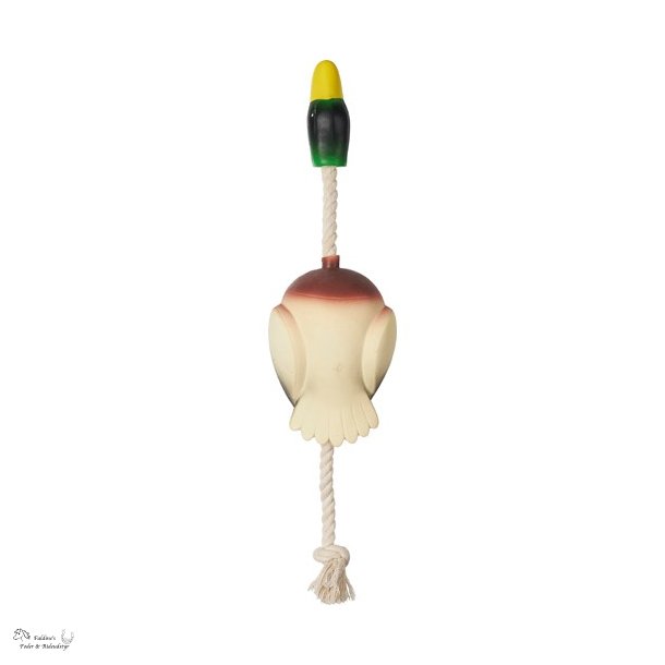 Companion Flying Duck