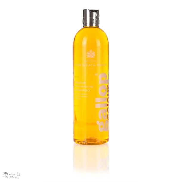 Gallop Shampoo til palomino og kastanjefarvede heste