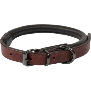 Catago Lderhalsbnd, Brun