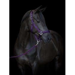 HG Diya Grime, 2.0, Lilla