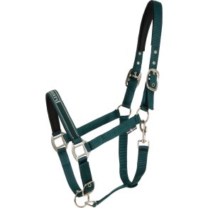 HG Sandra Grime, Ponderosa Pine