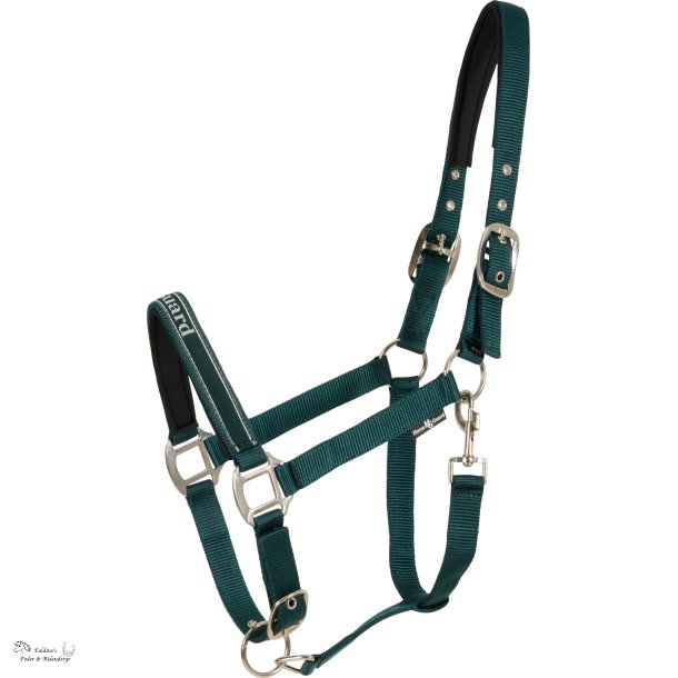 HG Sandra Grime, Ponderosa Pine