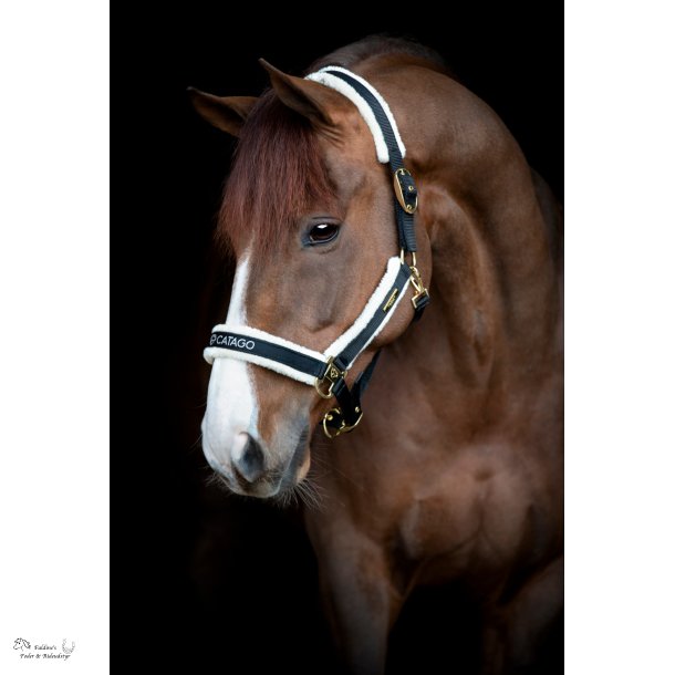 CATAGO Bea Grime, Sort