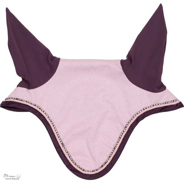 HG Milva Hut, Winsome Orchid