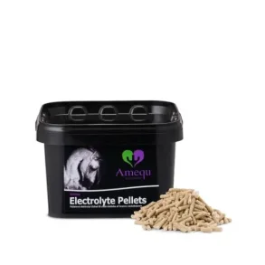 Amequ Electrolyte Pellets