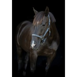 HG Malva Grime, Gr�