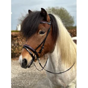 Hestagallery Glitra Nsebnd, Fuchsia